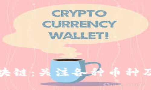 全面解读区块链：关注各种币种及其投资策略