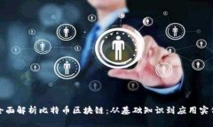 全面解析比特币区块链：从基础知识到应用实例
