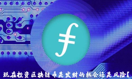 
现在投资区块链币是发财的机会还是风险？