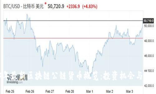 2023年最新区块链公链货币概览：投资机会与发展潜力