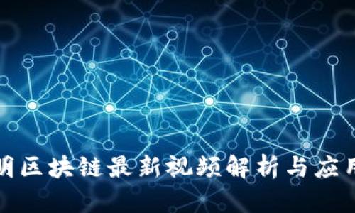 郑志明区块链最新视频解析与应用趋势