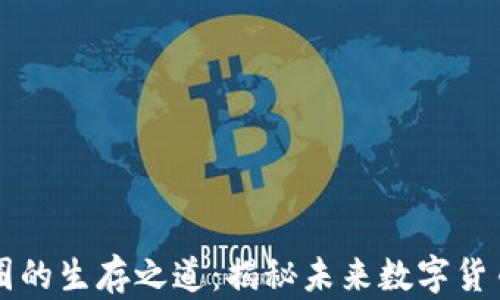 
区块链在币圈的生存之道：揭秘未来数字货币的生态系统