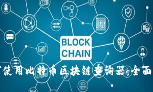 如何使用比特币区块链查询器：全面指南