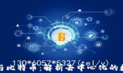 区块链中心与比特币：解析去中心化的数字货币