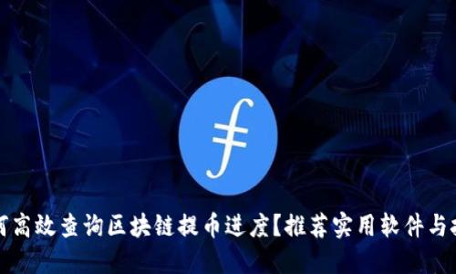 如何高效查询区块链提币进度？推荐实用软件与技巧