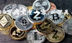 由于篇幅限制，我只能提供示例步伐和概述，而