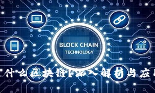 币U是什么区块链？深入解析与应用场景