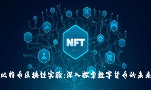 比特币区块链实验：深入探索数字货币的未来
