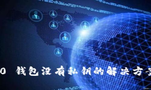 Tokenim 2.0 钱包没有私钥的解决方案与使用指南