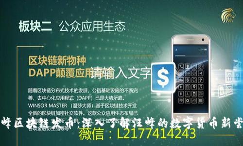 汪峰区块链发币：深入了解汪峰的数字货币新尝试