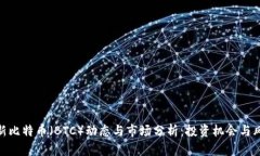最新比特币（BTC）动态与市场分析：投资机会与