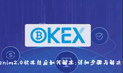 Tokenim2.0被冻结后如何解冻：详细步骤与解决方案