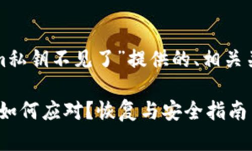 下面是为“tokenim私钥不见了”提供的、相关关键词和详细内容。

Tokenim私钥丢失如何应对？恢复与安全指南