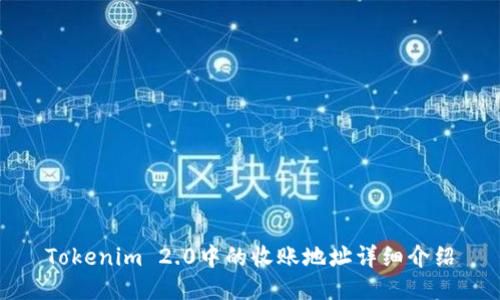 Tokenim 2.0中的收账地址详细介绍