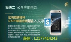   如何在Tokenim 2.0中建立观察者钱包：完整指南
