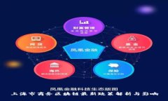 上海市商务区块链最新政策解析与影响
