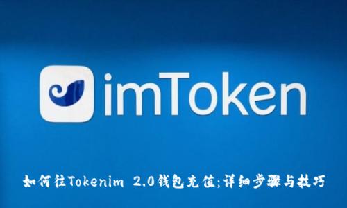 如何往Tokenim 2.0钱包充值：详细步骤与技巧