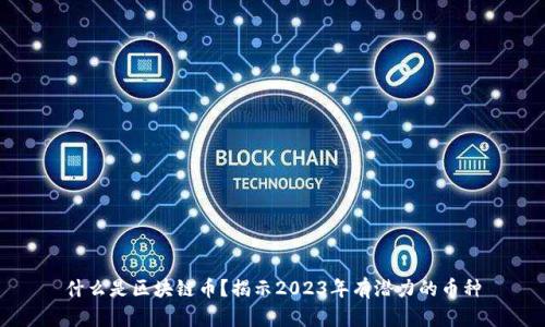 什么是区块链币？揭示2023年有潜力的币种