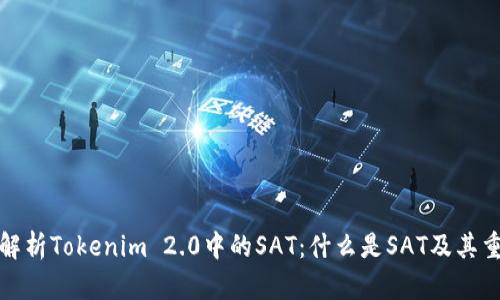 深入解析Tokenim 2.0中的SAT：什么是SAT及其重要性