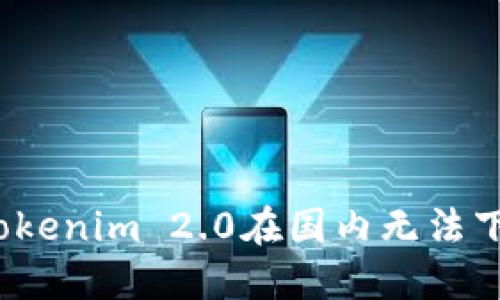 如何解决Tokenim 2.0在国内无法下载的问题？
