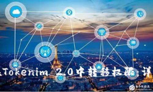 如何在Tokenim 2.0中转移权限：详细教程