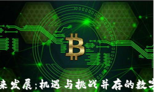 
区块链币未来发展：机遇与挑战并存的数字资产新纪元