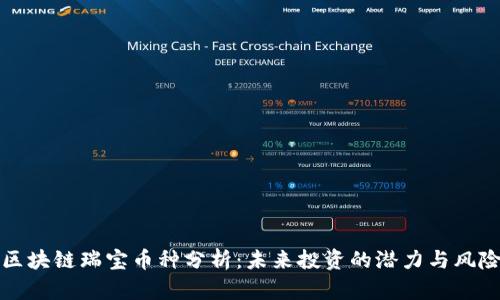 区块链瑞宝币种分析：未来投资的潜力与风险