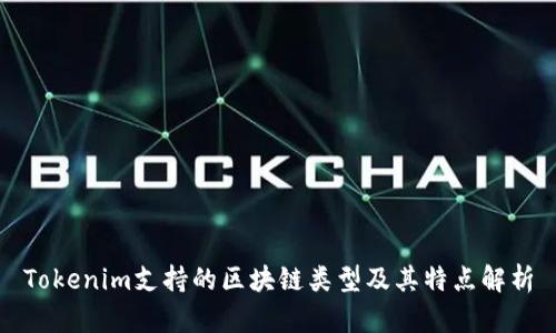 Tokenim支持的区块链类型及其特点解析