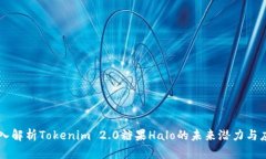 深入解析Tokenim 2.0糖果Halo的未来潜力与应用