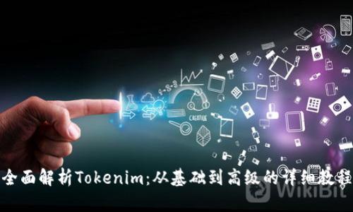 全面解析Tokenim：从基础到高级的详细教程