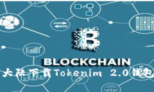 如何在中国大陆下载Tokenim 2.0钱包的详细指南