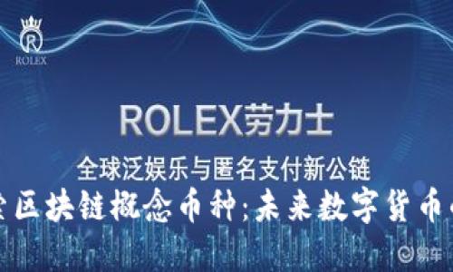 深入探索区块链概念币种：未来数字货币的领导者