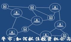 区块链币牛市：如何抓住投资机会与风险管理