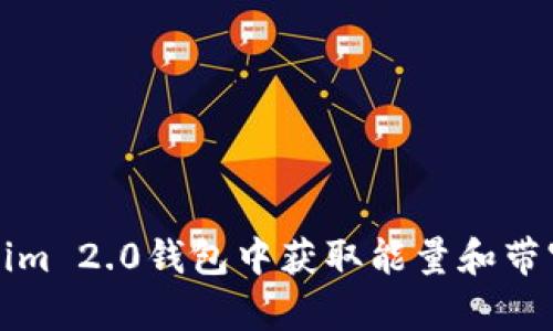 如何在Tokenim 2.0钱包中获取能量和带宽的详细指南