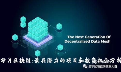 分片区块链：最具潜力的项目和投资机会分析