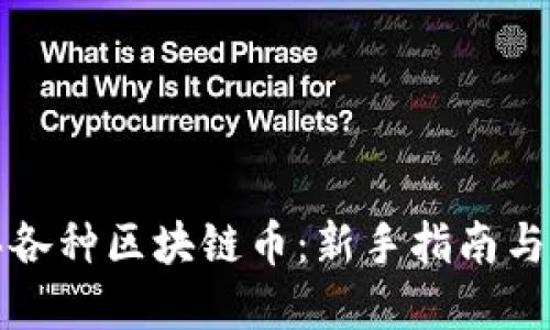 如何购买各种区块链币：新手指南与实用技巧