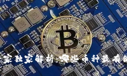 区块链专家独家解析：哪些币种最有价值潜力？