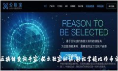 比特币区块链查询专家：揭示独家秘诀，轻松掌