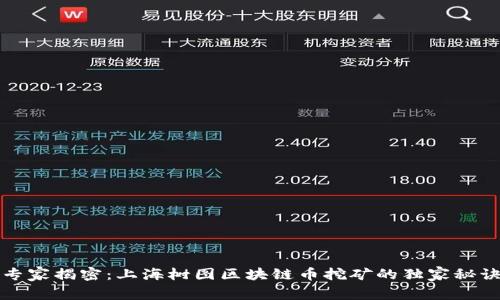 专家揭密：上海树图区块链币挖矿的独家秘诀