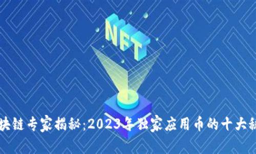 区块链专家揭秘：2023年独家应用币的十大秘诀