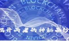 比特币与区块链的独家秘诀：揭开两者的神秘面