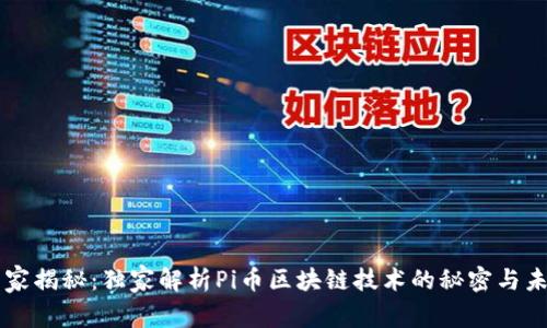 专家揭秘：独家解析Pi币区块链技术的秘密与未来