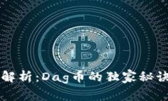 区块链专家解析：Dag币的独家秘诀与未来发展