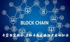 专家独家揭秘：虚拟币和区块链开发的秘诀