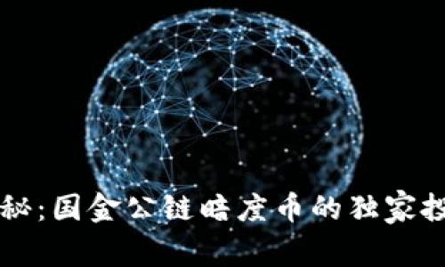 专家揭秘：国金公链暗度币的独家投资秘诀