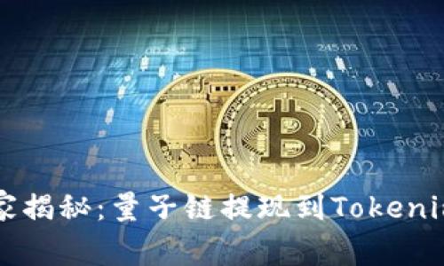 专家独家揭秘：量子链提现到Tokenim的秘诀