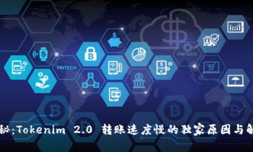 专家揭秘：Tokenim 2.0 转账速度慢的独家原因与解决秘诀