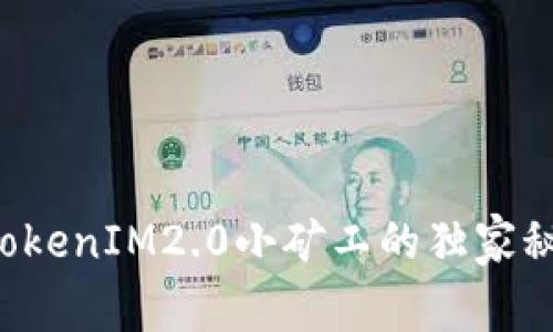 专家揭秘：TokenIM2.0小矿工的独家秘诀，靠谱吗？