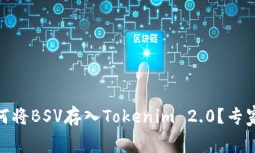 超全面解析：如何将BSV存入Tokenim 2.0？专家独家秘诀揭秘！
