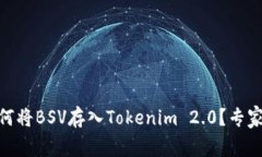 超全面解析：如何将BSV存入Tokenim 2.0？专家独家秘